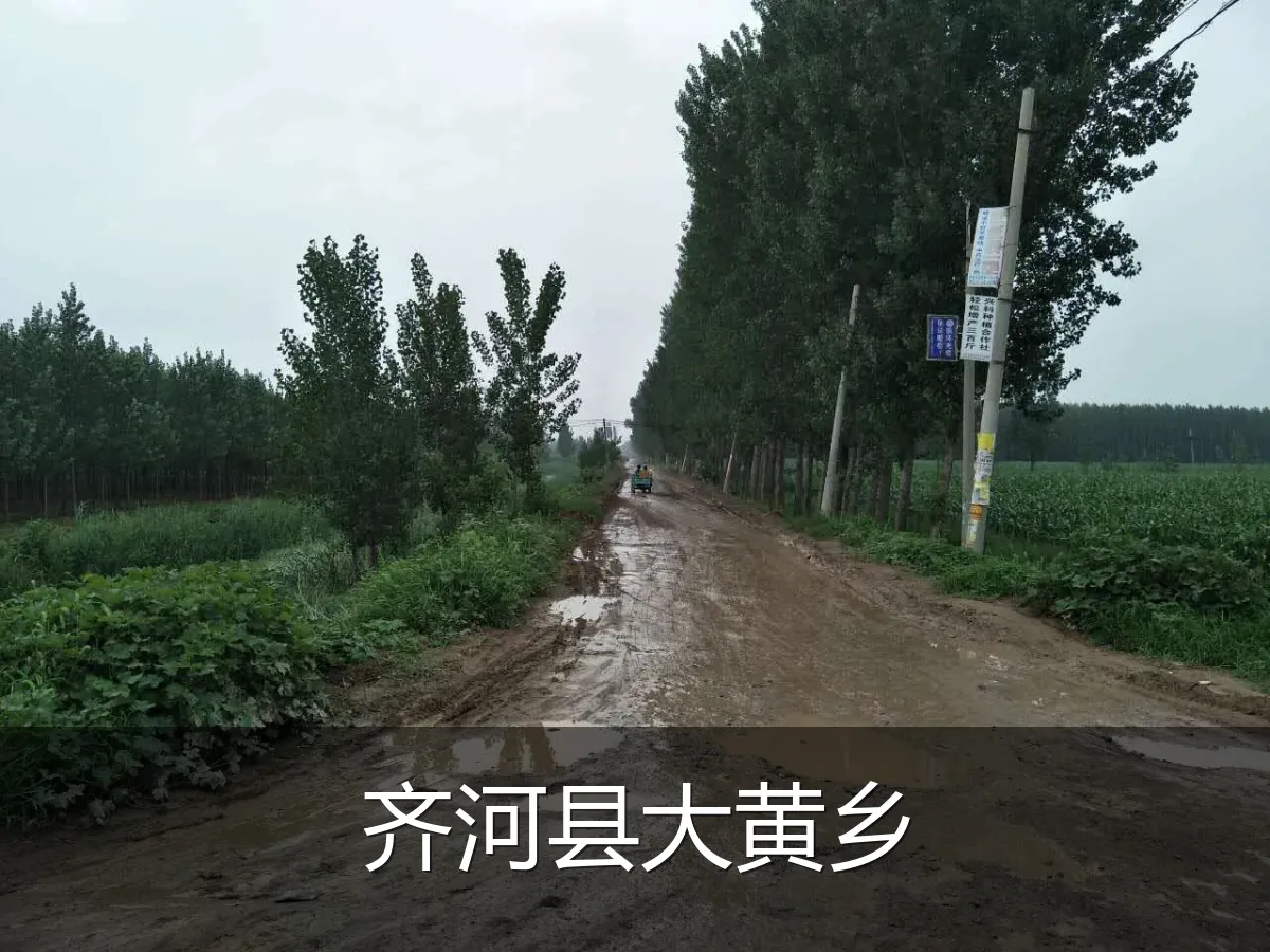 齐河县大黄乡